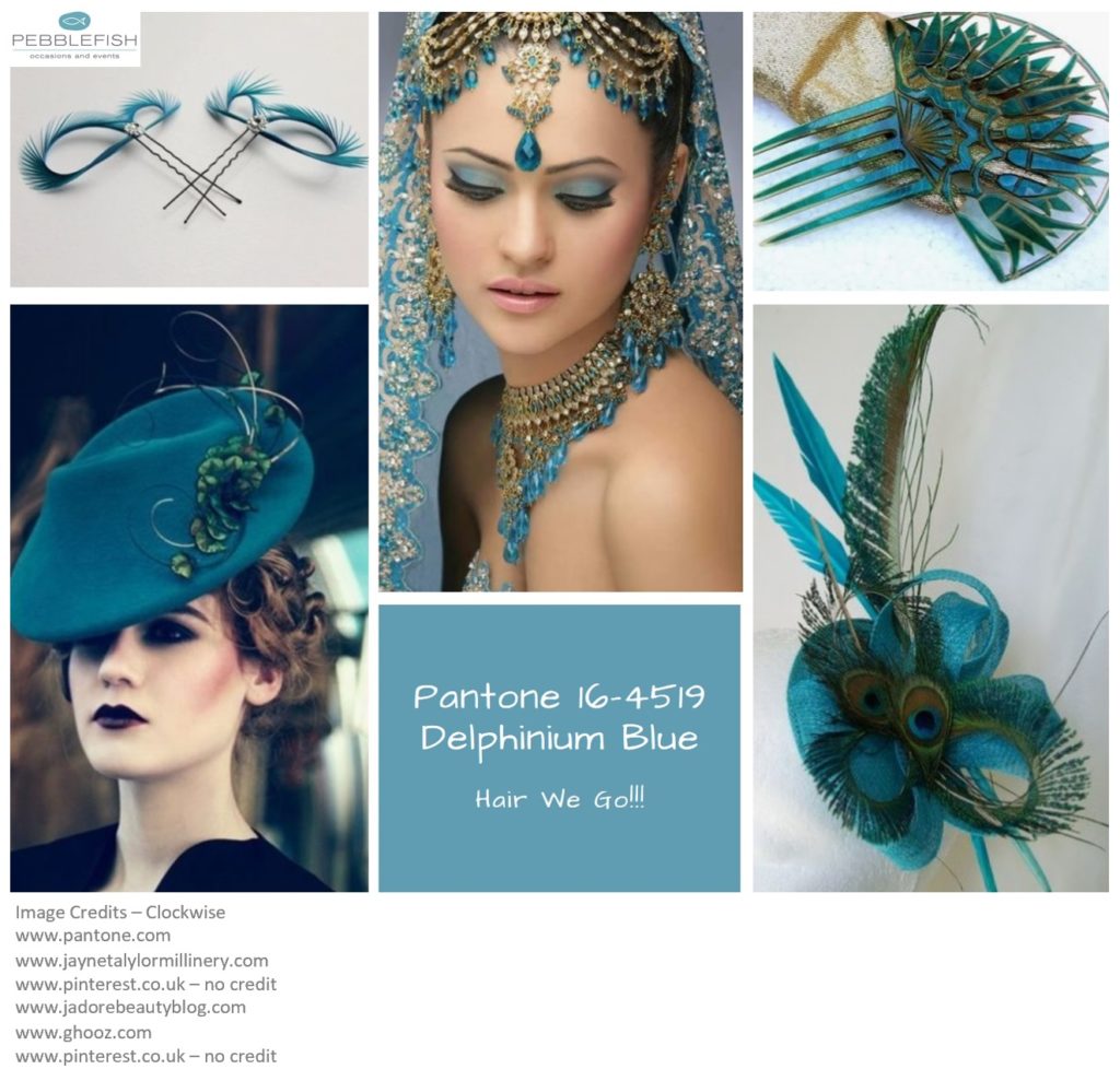PIcture Montage for Pantone Colour Delphinium Blue