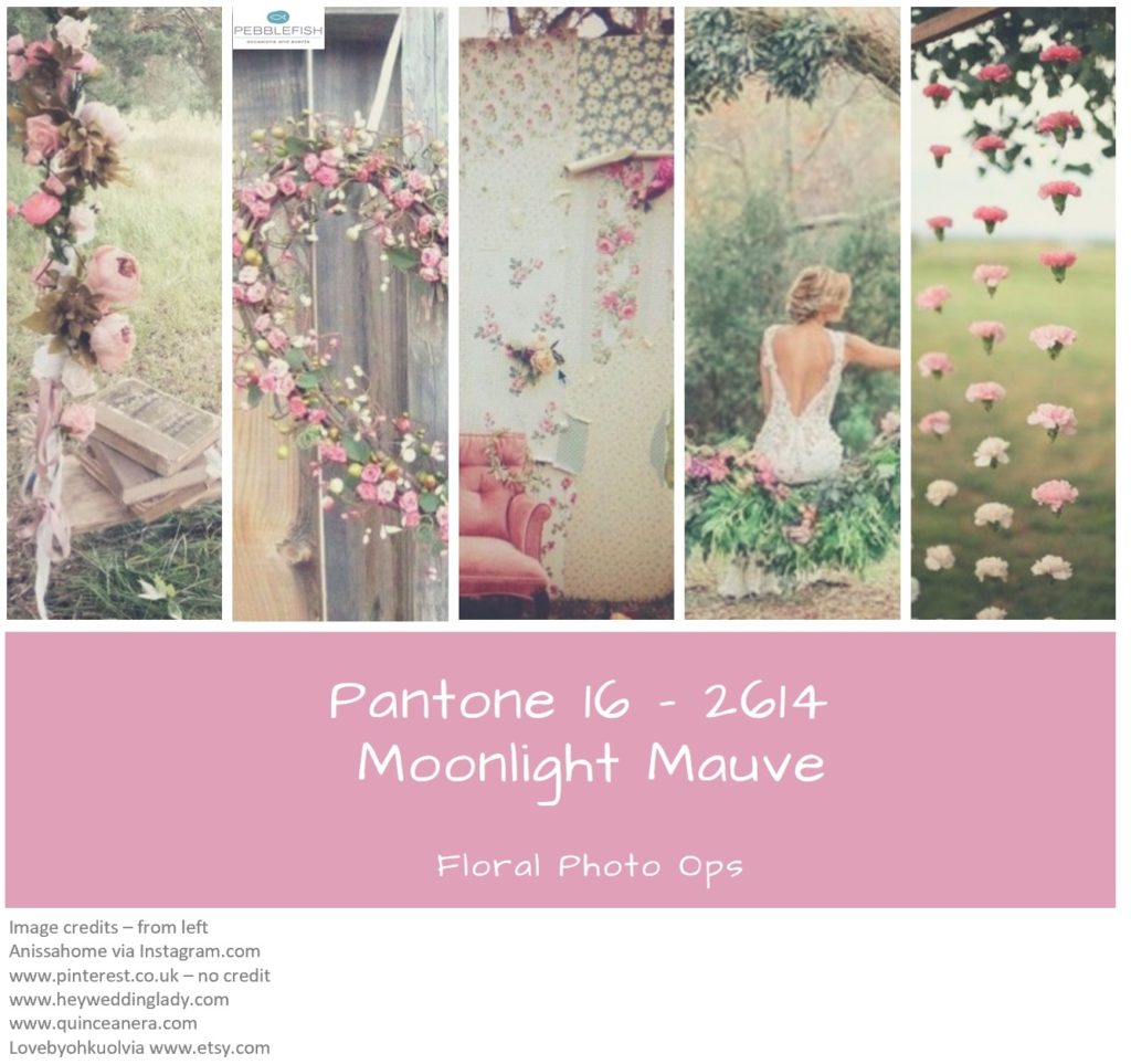 Picture montage for pantone colour moonlight mauve
