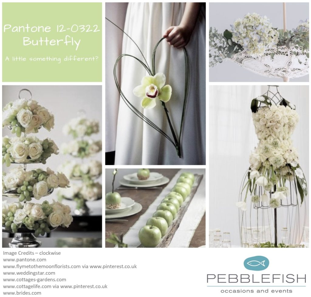 PIcture montage for pantone colour Butterfly