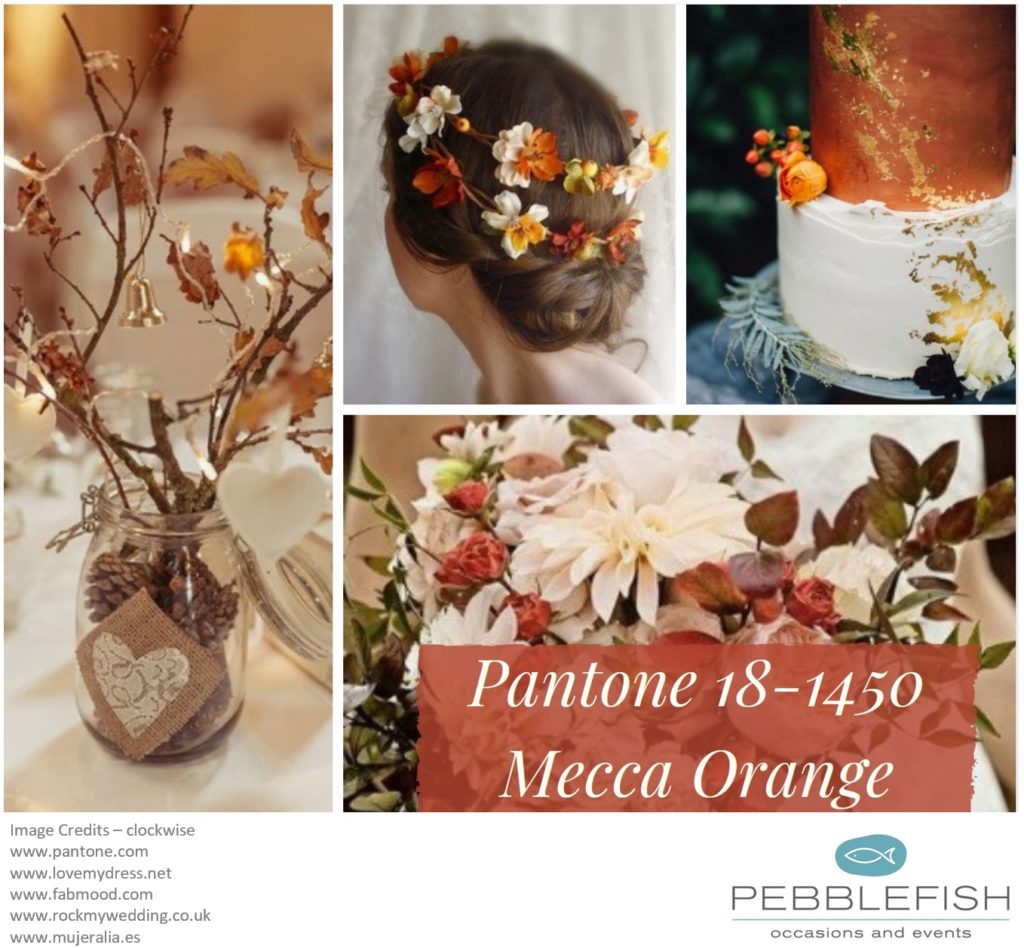 Picture Montage for pantone colour Mecca Orange