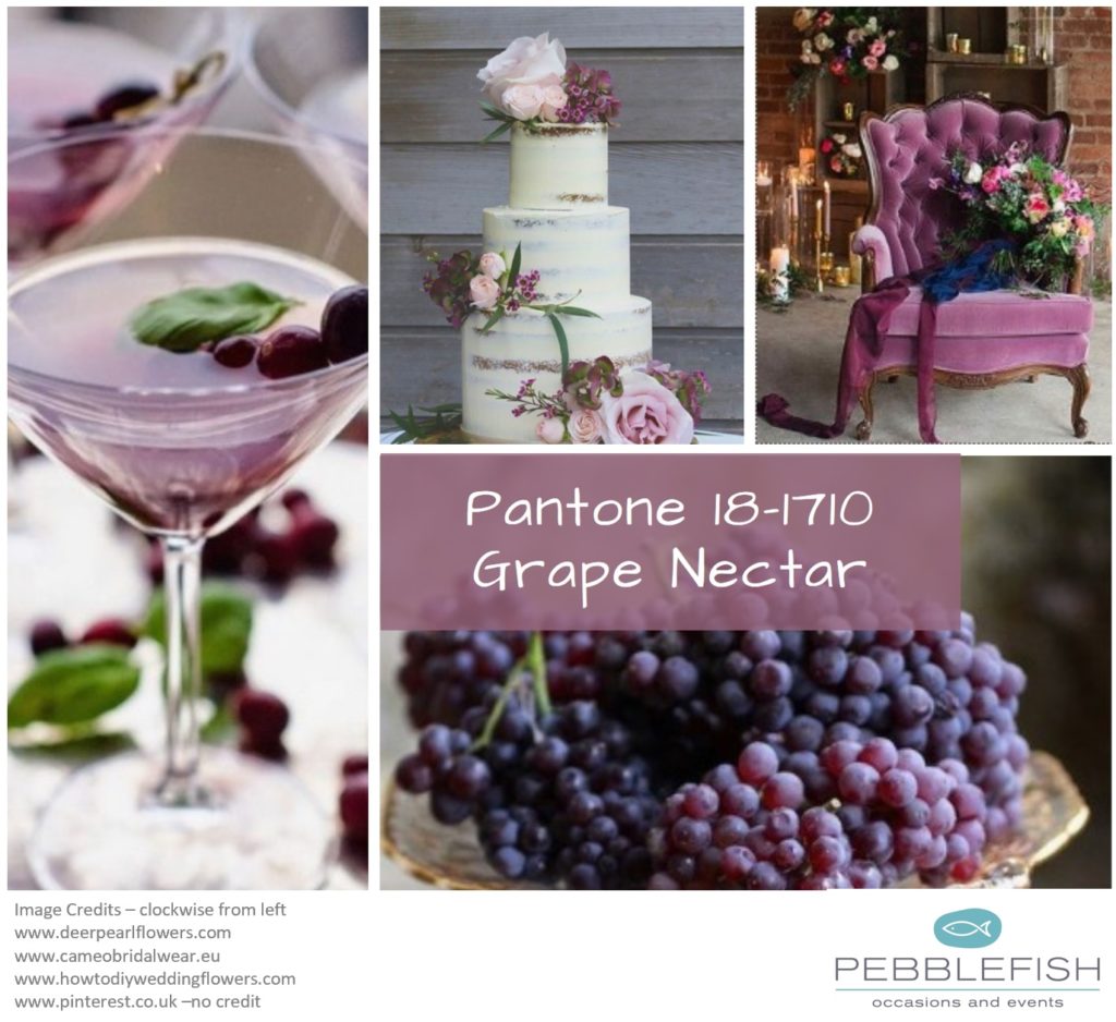 PIcture montage for pantone colour - Grape Nectat