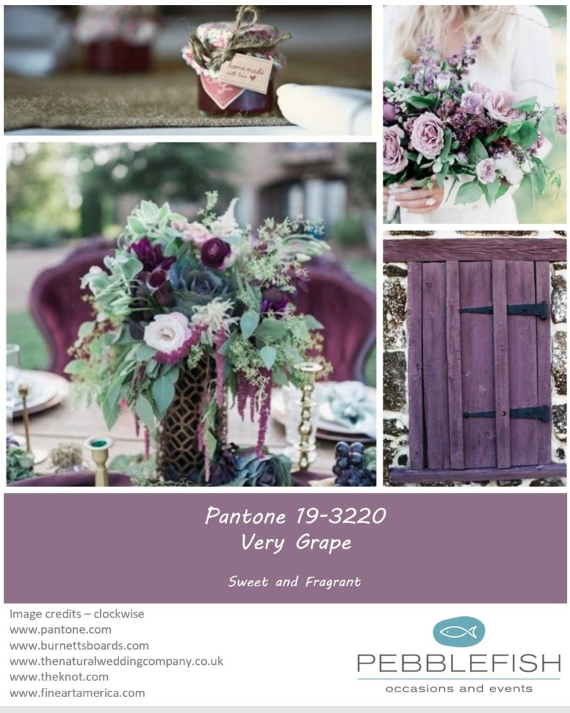 Icture montage for pantone colour Very grape