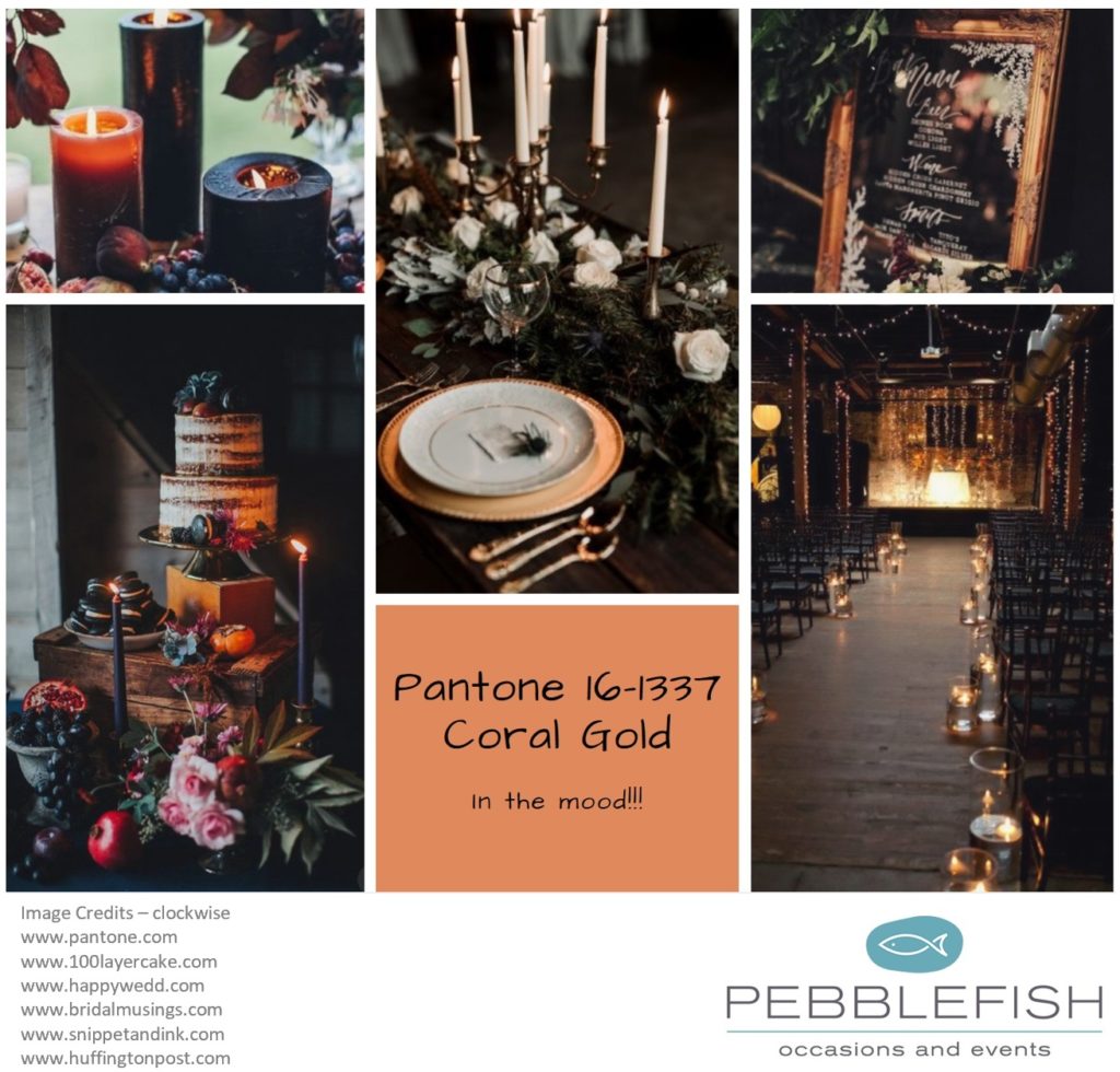 Picture montage for pantone colour Coral Gold