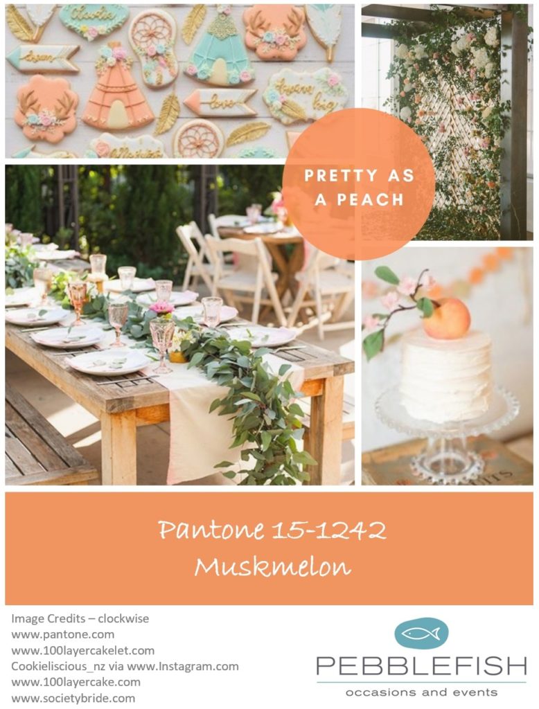 Picture Montage for the pantone colour Muskmelon