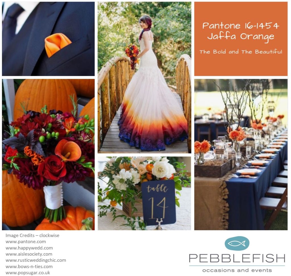 Picture montage for pantone colour of the day Jaffa Orange