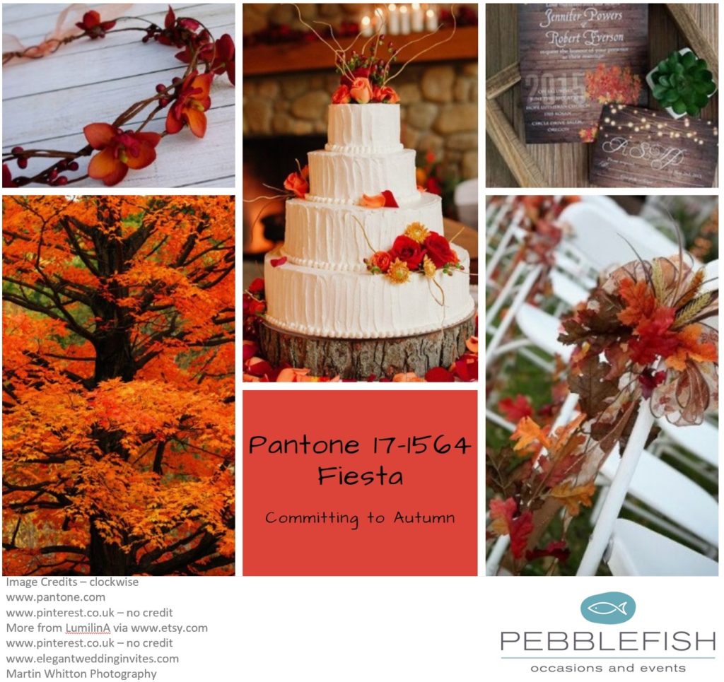Picture montage for pantone colour of the day Fiesta