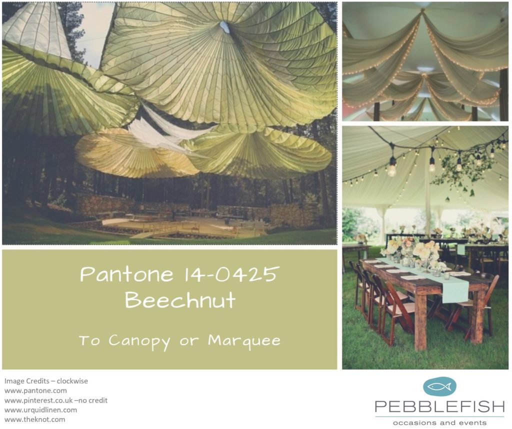Picture montage for pantone colour Beechnut