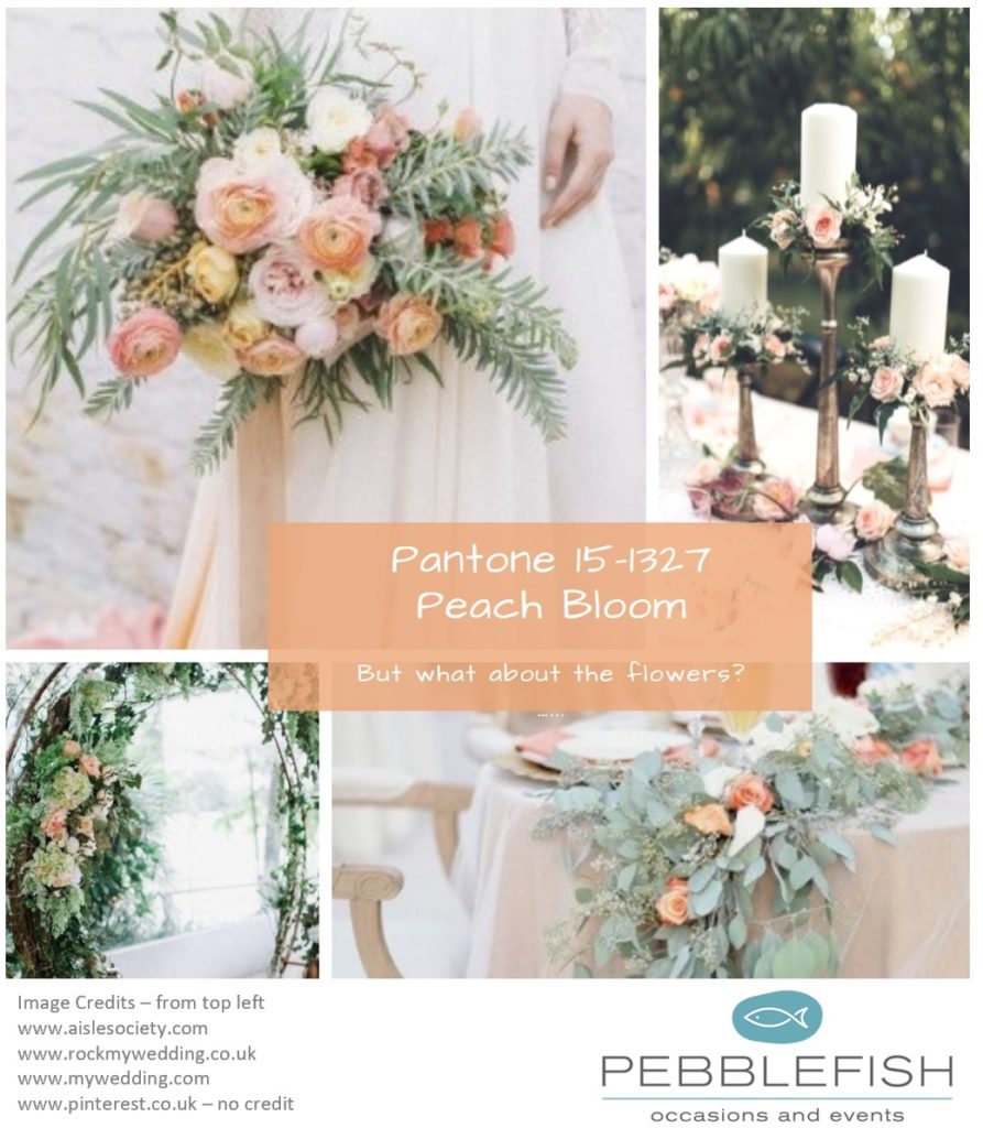 Picture montage for the pantone colour Peach Bloom