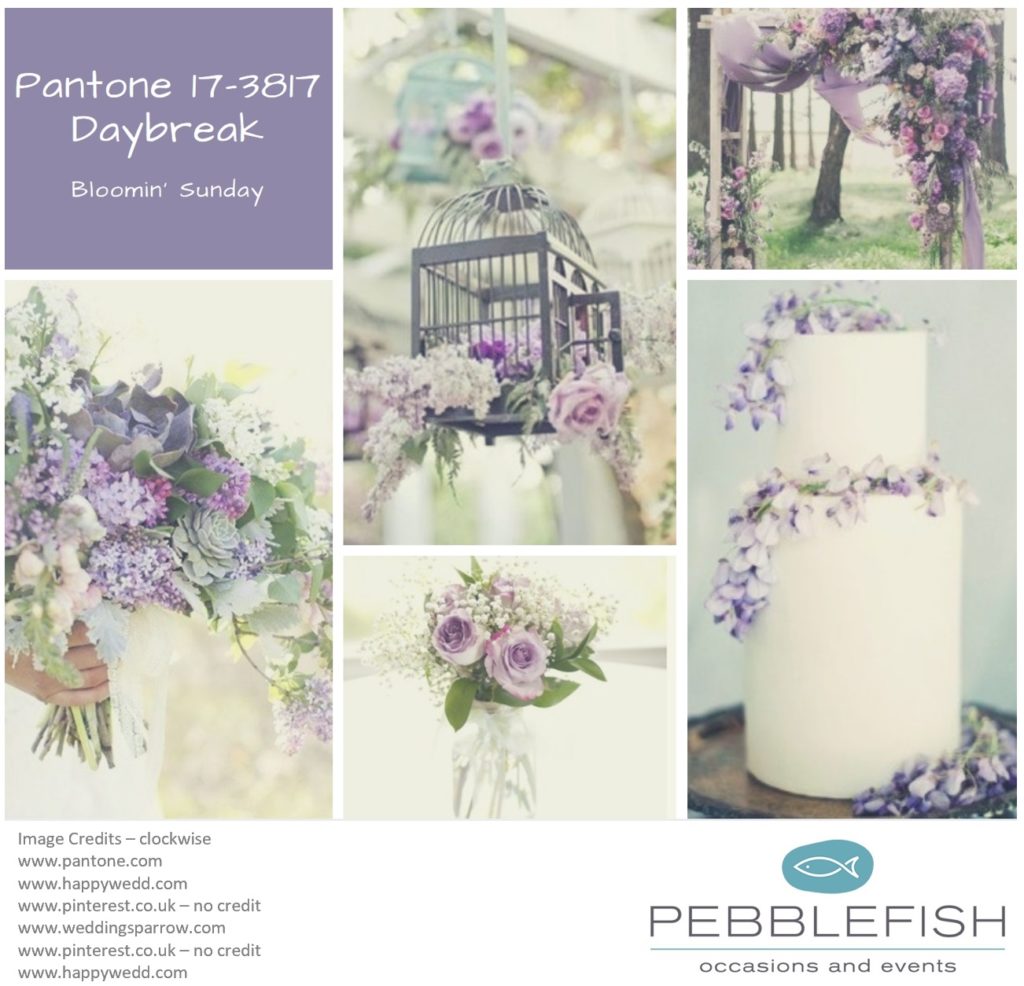 Picture montage for pantone colour Daybreak