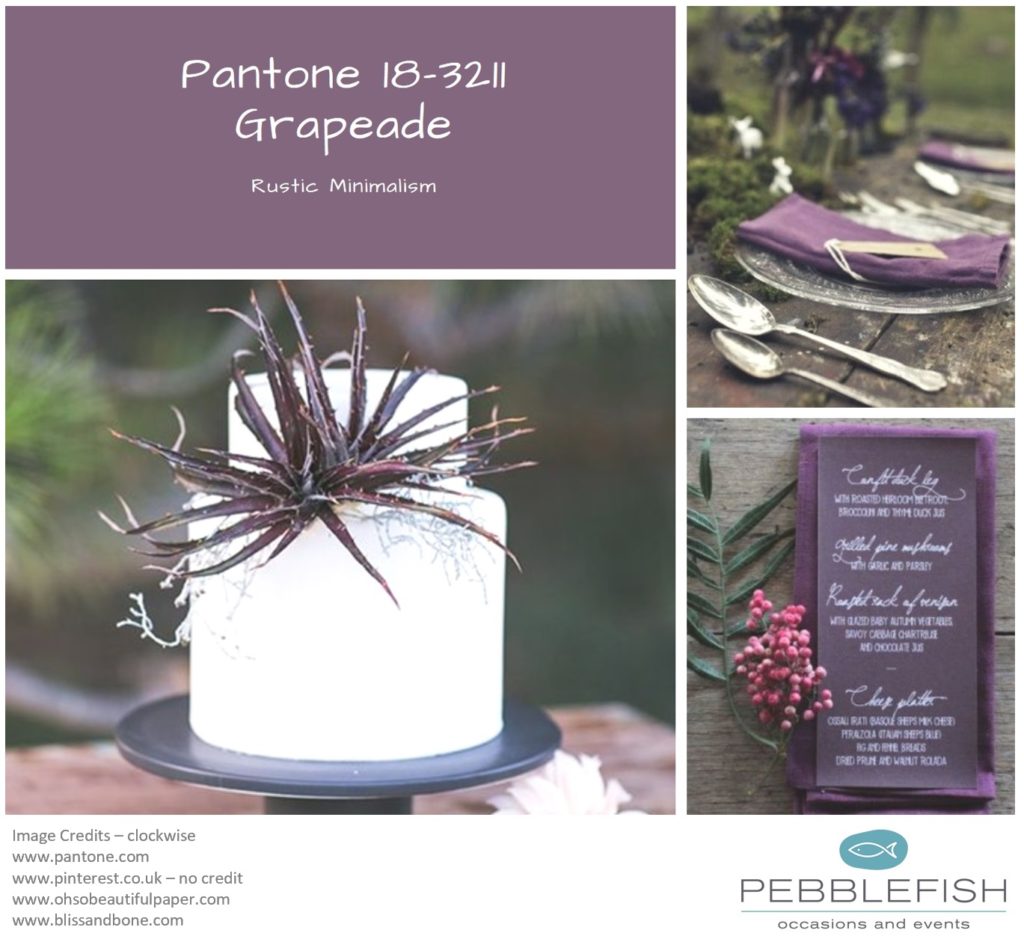 Picture montage for pantone colour of the day - Grapeade